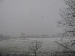 Improvvisa nevicata a Bruges