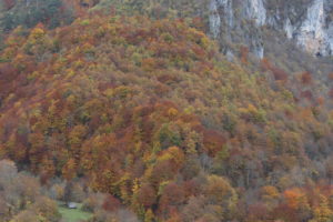 L'autunno in Montenegro