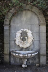 Fontana del Leone (da me ribattezzata così)
