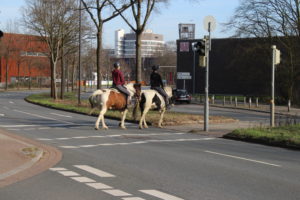 Burgerpark - Due avventori a cavallo