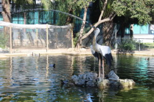 Stravagante getto d'acqua