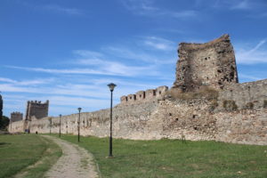 Fortezza di Smederevo - 1