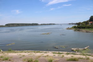 Il Danubio a Smederevo - 1